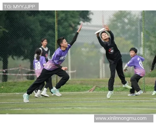 重庆飞盘队如何通过团队协作变革提升竞技水平与凝聚力