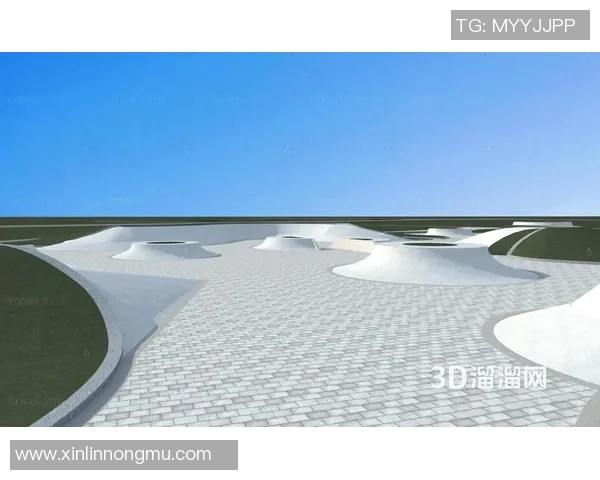 北京极限运动队的灵活性研究与发展趋势分析